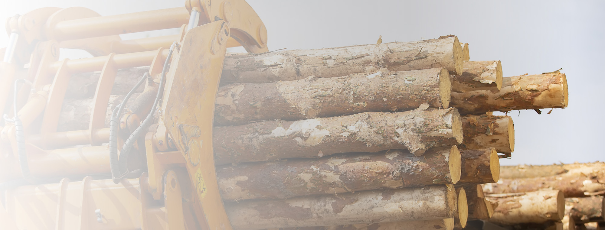 Log Loader