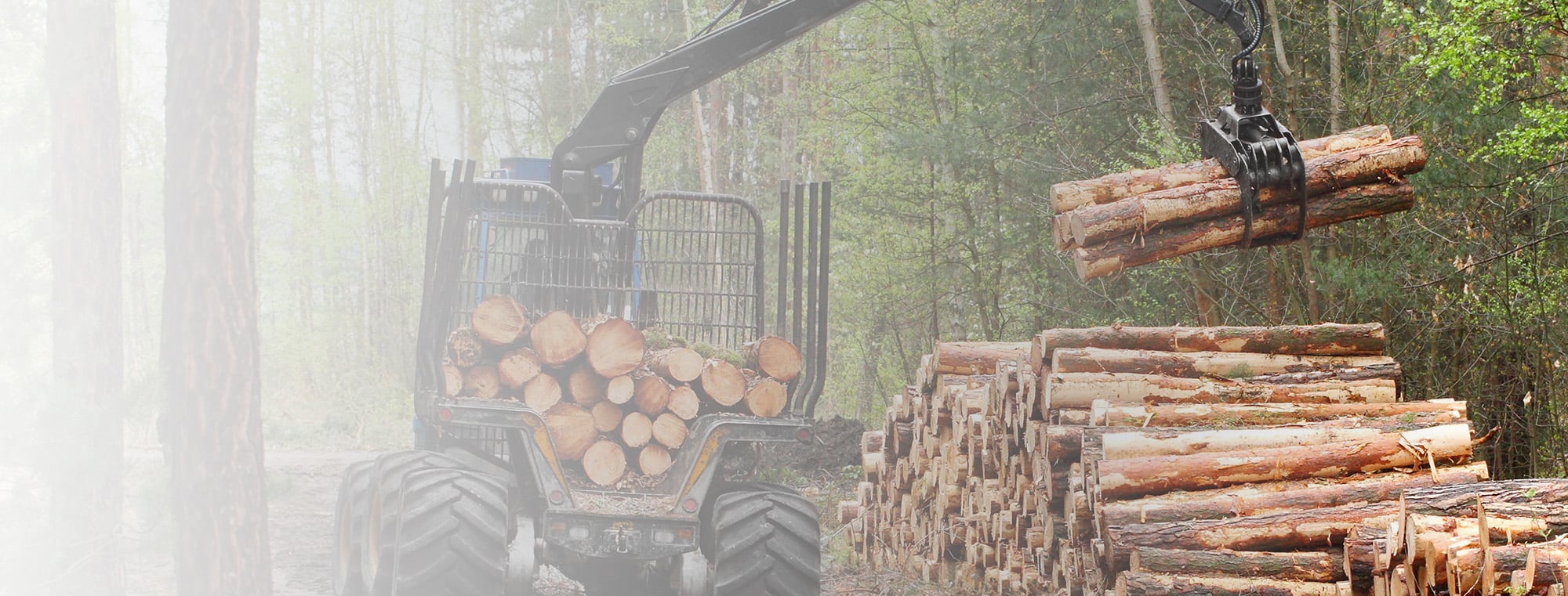 Forestry Equipment for Sale
